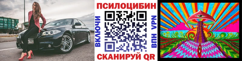 Галлюциногенные грибы мицелий  Купить где  Хадыженск 